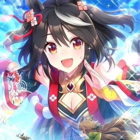 初期垢 キタサン5体 + ジュエル16万 + 星3ウマ娘 0～5体 + 確定26枚SSRサポカ | ウマ娘のアカウントデータ、RMTの販売・買取一覧