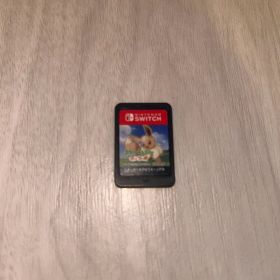 【動作確認済】Switch ポケットモンスター Let's Go! イーブイ