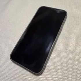 iPhone 13 Pro Max 本体