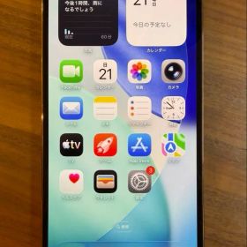 【ジャンク】iphone13 pro max 256GB / おまけケース付き