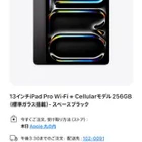 【未使用品】iPad Pro M4 13インチ 256GB Cellular 標準ガラス搭載 スペースブラック