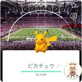 (アカウント-非対面トレード)色違いピカチュウ AZグレンデール背景 | ポケモンGOのアカウントデータ、RMTの販売・買取一覧