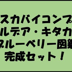 🔥パルデア図鑑+キタカミ図鑑+ブルーベリー図鑑+過去作伝説・幻・UB🌟色違い🌟 | ポケモンSV(スカーレットバイオレット)のアカウントデータ、RMTの販売・買取一覧