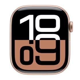 Apple 【バンド無し】Apple Watch Series10 46mm GPS+Cellularモデル MWY83J/A A3003【ローズゴールドアルミニウムケース】 [中古] 【当社3ヶ月間保証】 イオシス