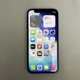 iPhone12 mini 256G SIMフリー