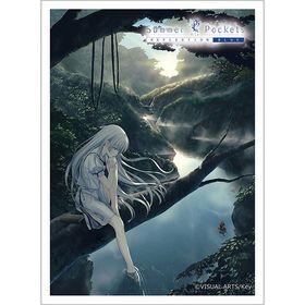 Summer Pockets REFLECTION BLUE スリーブ(鳴瀬しろは/イメージビジュアル) パック