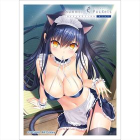 Summer Pockets REFLECTION BLUE スリーブ(久島鴎/メイド) パック