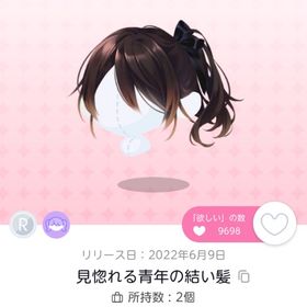 見惚れる青年の結い髪 | ポケコロツイン(ポケツイ)のアカウントデータ、RMTの販売・買取一覧