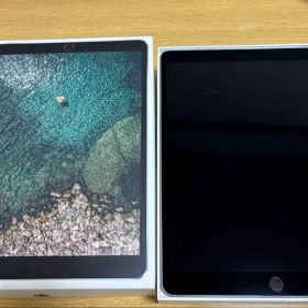 iPad Pro 10.5インチ 256GB Wi-Fi + Cellular