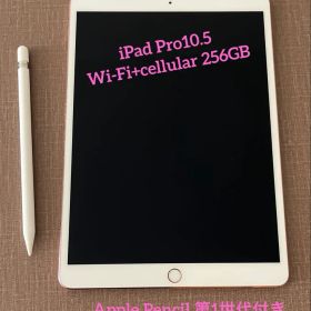 iPad Pro 10.5 256G セルラー Apple Pencil付き