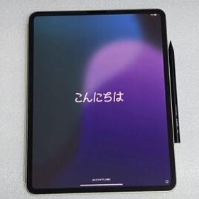 極美品 Apple ipad Pro 13inch M4 256GB シルバー MVX33J/A wifi版 A2925 バッテリー100％ 標準ガラス Apple Store