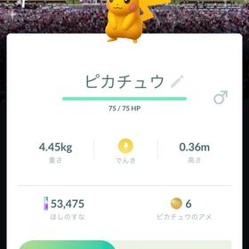 「ミニ垢／非対面トレード」✨色違いピカチュウAZグレンデール | ポケモンGOのアカウントデータ、RMTの販売・買取一覧