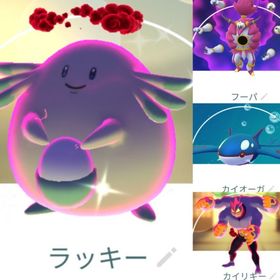 6187【PTC】年末セール！色違いダイマックスラッキー、フーパ10匹 他 | ポケモンGOのアカウントデータ、RMTの販売・買取一覧