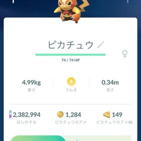 マスクドピカチュウ | ポケモンGOの代行、RMTの販売・買取一覧