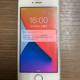 Apple iPhone SE シルバー 本体 第1世代