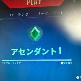 「メアド変更可能」アセンダント垢 | VALORANT(ヴァロラント)のアカウントデータ、RMTの販売・買取一覧