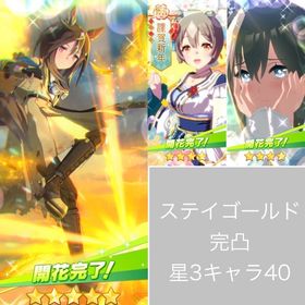 ステイゴールド完凸 星3以上キャラ40 石80300 未連携 誕生日未設定 初期アカウント | ウマ娘のアカウントデータ、RMTの販売・買取一覧