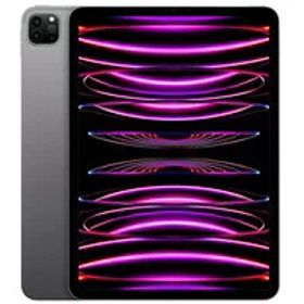 ★アップル / APPLE iPad Pro 11インチ 第4世代 Wi-Fi 2TB 2022年秋モデル MNXM3J/A [スペースグレイ]【タブレットPC】【送料無料】