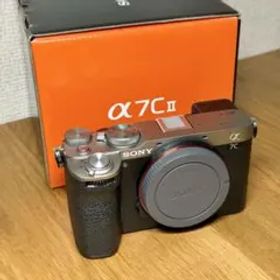 Sony A7CII 美品 sony a7cii camera」の人気商品一覧 | 安い商品を通販サイトから探す