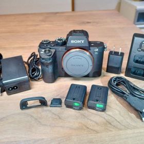 最終価格 S数：2815回【センサー清掃済】SONY ILCE-7SM2 ボディ