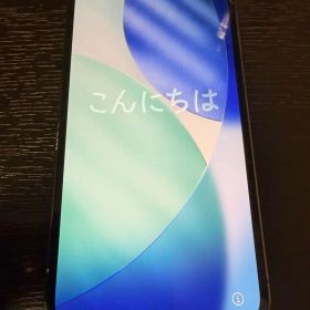 Apple iPhone 12 Pro グラファイト