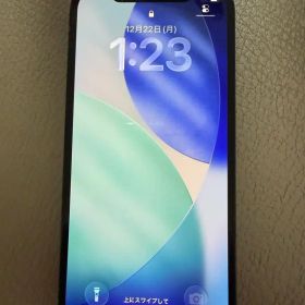 iPhone12Pro 256GB SiMフリー