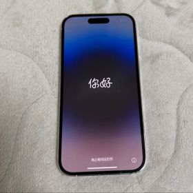 Apple iPhone 14 Pro シルバー 本体