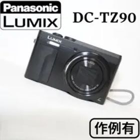 【美品】Panasonic LUMIX DC-TZ90／パナソニック 作例アリ