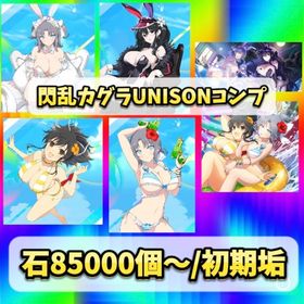 💎石8.5万💎閃乱カグラUNISONコンプ/雪不帰/雪泉⭐️ | ドルフィンウェーブ(ドルウェブ)のアカウントデータ、RMTの販売・買取一覧