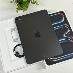 新品同様 iPad Pro M5 11インチ 256GB 2025年 Wi-Fiモデル 送料無料