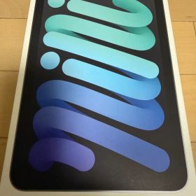 iPad mini A17Pro Wi-Fi + Cellular 512GB