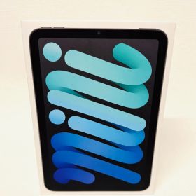 新品 Apple アップル 【 iPod mini 第7世代 128GB A17 Pro 8.3inch MXN63J/A スペースグレイ⠀】