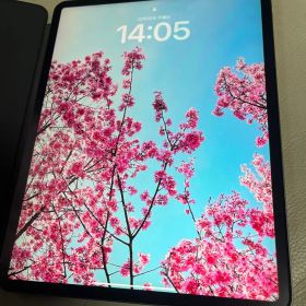 【おまけ付】iPad Pro 12.9インチ第4世代512GB Wi-Fiモデル