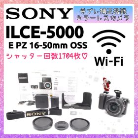 ❤即購入1000円OFF❤SONY α5000 Wi-Fi 手のひらミラーレス