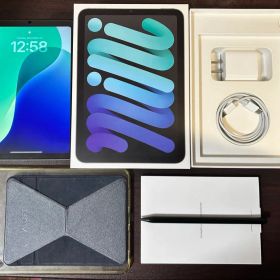 iPad mini 256GB スペースグレイWi-Fi