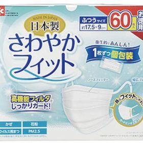 【マラソン限定★2000円クーポン＆ポイント2倍】レック さわやかフィットマスク ふつうサイズ 60枚入 マスク 鼻 のど対策 メディカル