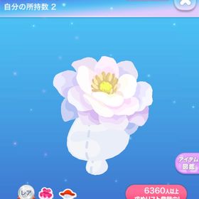 妖精の花帽子 | ポケコロのアイテム、RMTの販売・買取一覧
