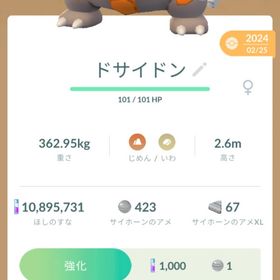 ドサイドン 特別技がんせきほう 強化可能✨️ | ポケモンGOのアカウントデータ、RMTの販売・買取一覧
