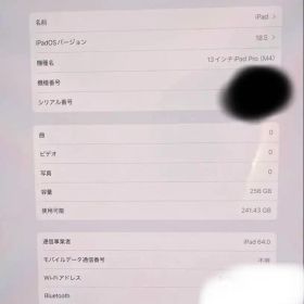 iPad Pro M4 13インチ Wi-Fi＋Cellular 256GB