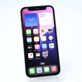 【ジャンク＊液晶美品＊動作可】SIMフリー iPhone12 mini 256GB ブラック