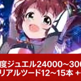 また後）1島進度ジュエル24000～30000個 +メモリアルソード12～15本 +その他 | 白猫プロジェクトのアカウントデータ、RMTの販売・買取一覧