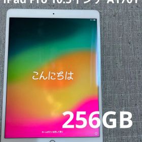 iPad Pro 10.5 256GB Wi-Fi 2018/12月購入