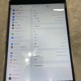 Apple iPad Pro 10.5インチ256GB スペースグレー