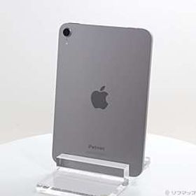 iPad mini(A17 Pro) 256GB スペースグレイ MXNA3J／A Wi-Fi ［8.3インチ液晶／A17 Pro］