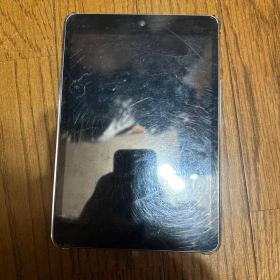 Apple iPad mini シルバー 本体