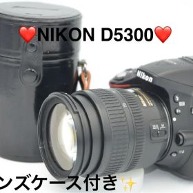 Nikon D5300 デジタル一眼レフカメラ レンズケース付き