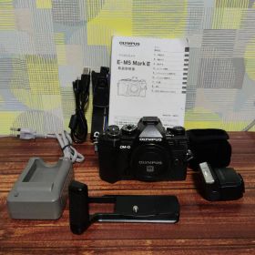 美品 OLYMPUS E-M5 Mark III ミラーレス一眼カメラ