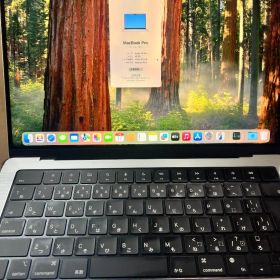 MacBook Pro (14inch/2021) M1Pro 16GB/1TB