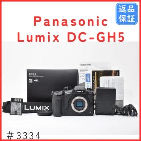 【美品】パナソニック Panasonic Lumix DC-GH5 ボディ