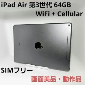 画面美品 iPad Air 第3世代 WiFi Cellular SIMフリー